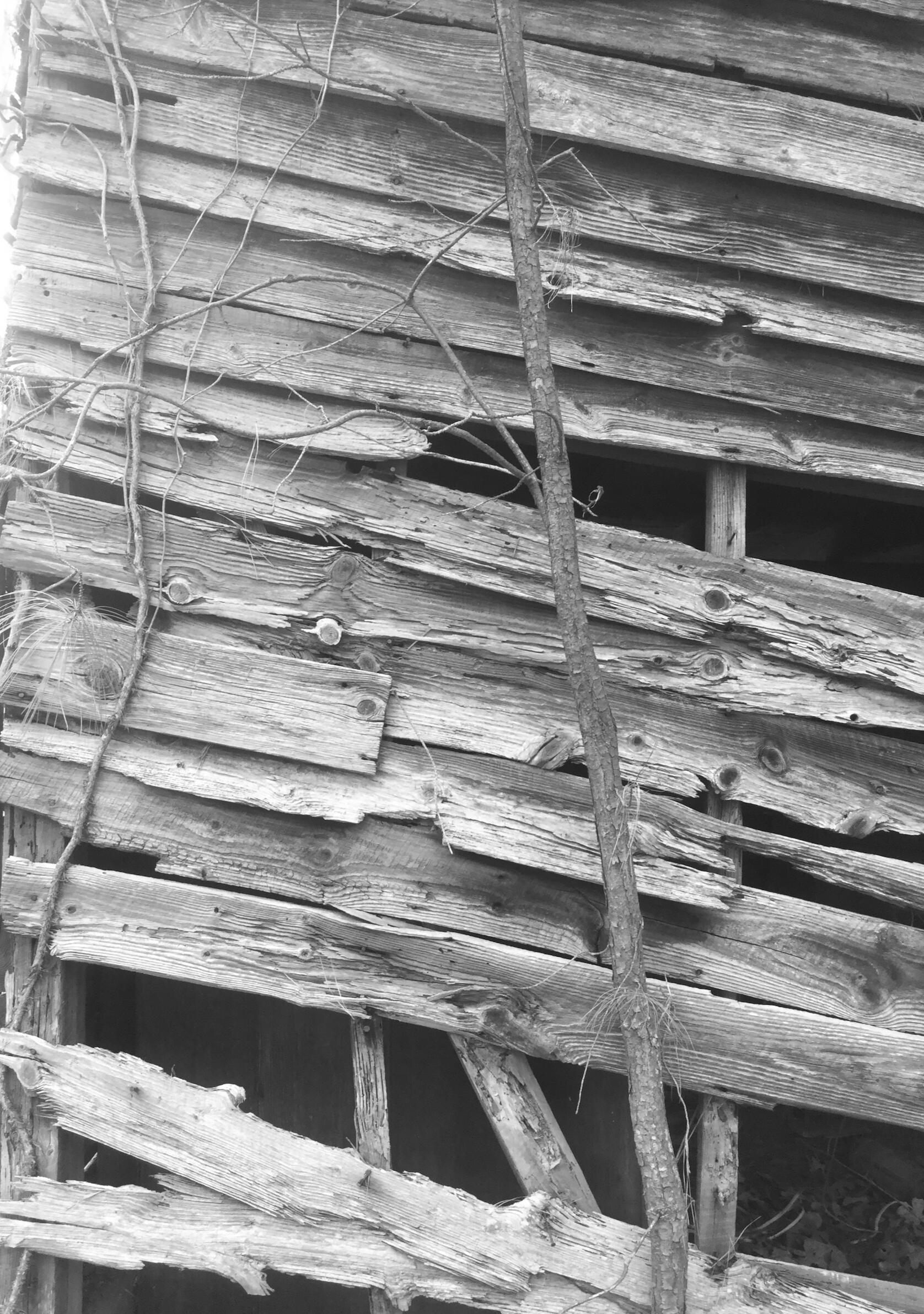 barn